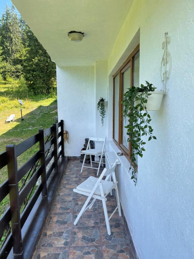 Delux Apartment Predeal Exterior photo